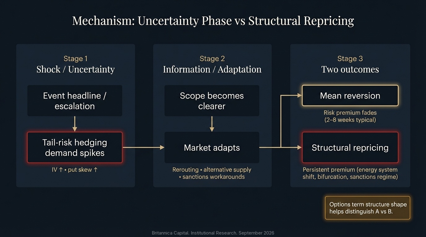 Uncertainty vs Structural Repricing